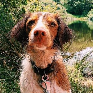 Meet your Posher, Catie